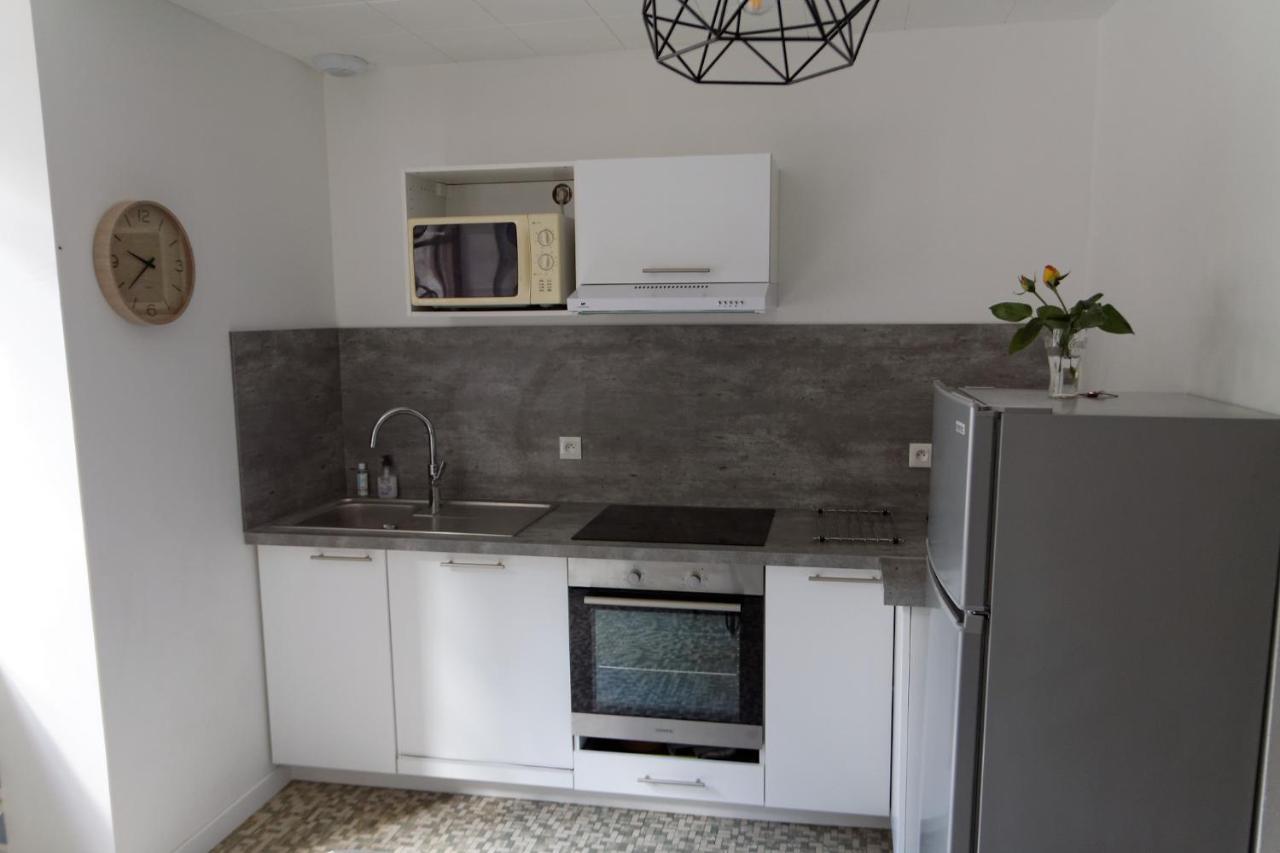 Villa Jean Julien - Le Sancy - Appartement T3 - 65M2 - 8 Personnes Le Mont-Dore Ngoại thất bức ảnh